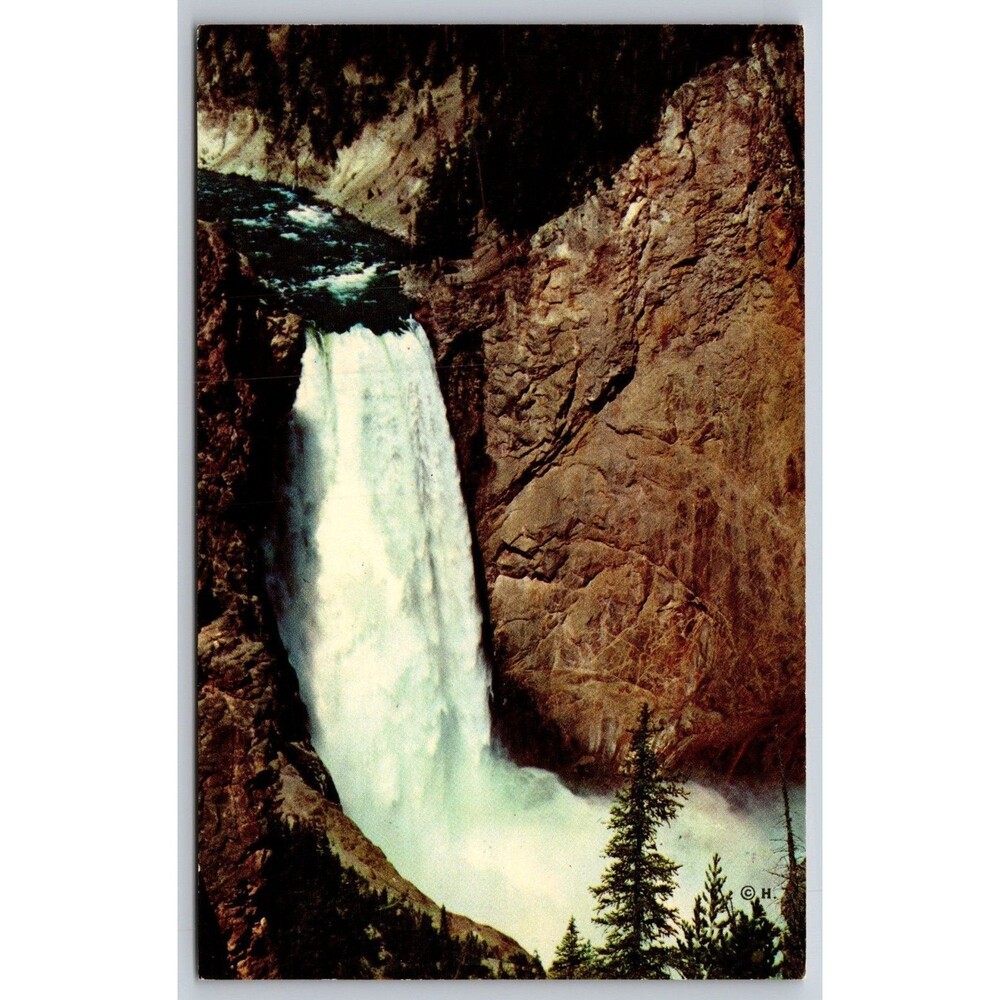 Vintage 1954 Yellowstone Postcard Lower Falls Uncle Toms Trail Haynes Studios